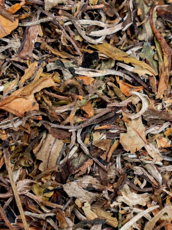 Pai Mu Tan – Doux & onctueux